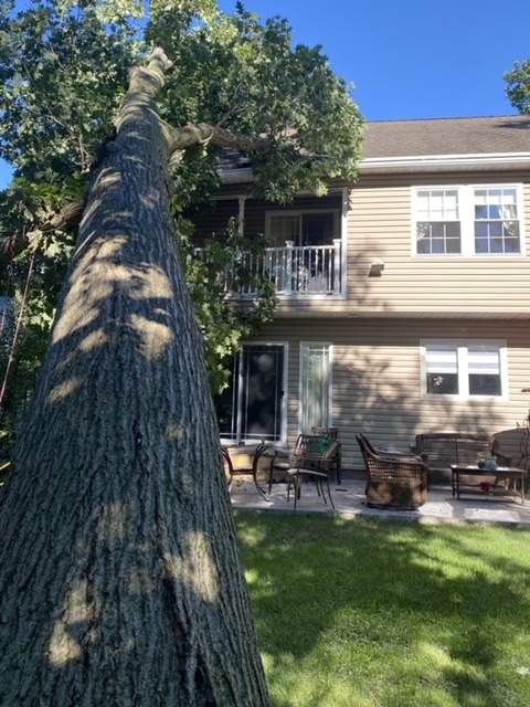 A large tree has fallen onto the second-story balcony of a tan house, its trunk stretching across the grassy yard and outdoor patio furniture below—prompting an urgent need for tree removal in Wayne NJ.