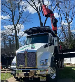 A large white truck with an attached red crane arm, part of a tree service in Wayne NJ, is parked outdoors on a sunny day, lifting tree branches with leafless trees and a blue sky in the background.
