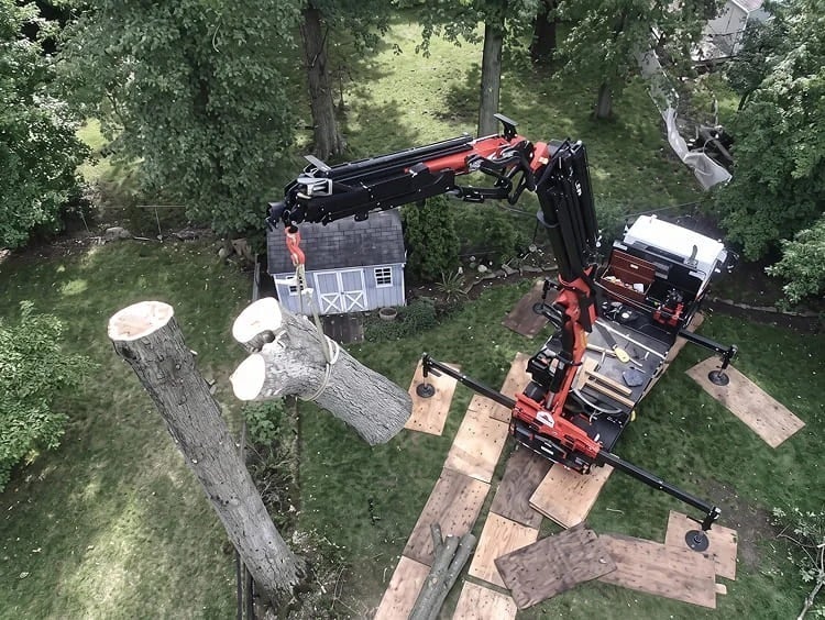 A crane truck lifts a large tree trunk in a backyard with green grass, wooden planks on the ground, and a small shed nearby. Some trees and cut tree stumps are visible around the yard.
